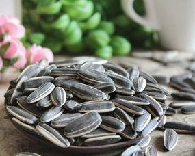 吃瓜给瓜子,解锁夏日休闲新姿势