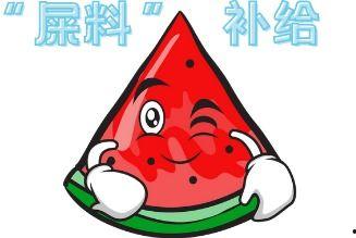 谁能拒绝现场吃瓜,揭秘娱乐圈背后的真相