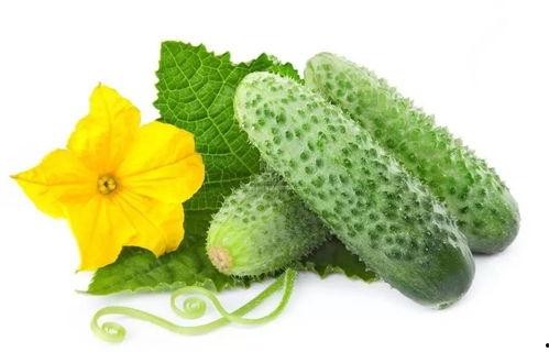 宋嫣吃瓜系统,揭秘娱乐圈幕后真相