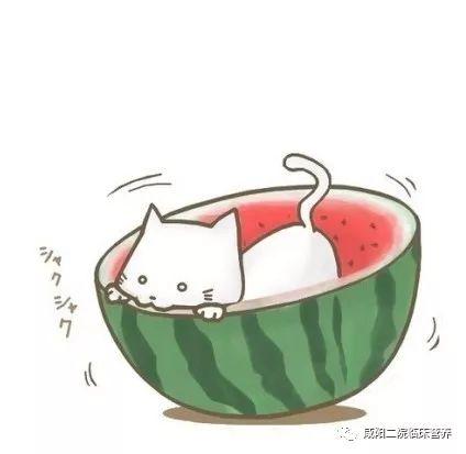 吃瓜群众图片大全卡通,趣味横生的社会百态缩影