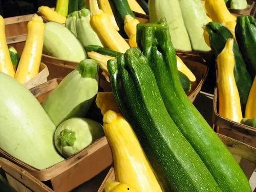 中南医院吃瓜,揭秘背后的真相与反思